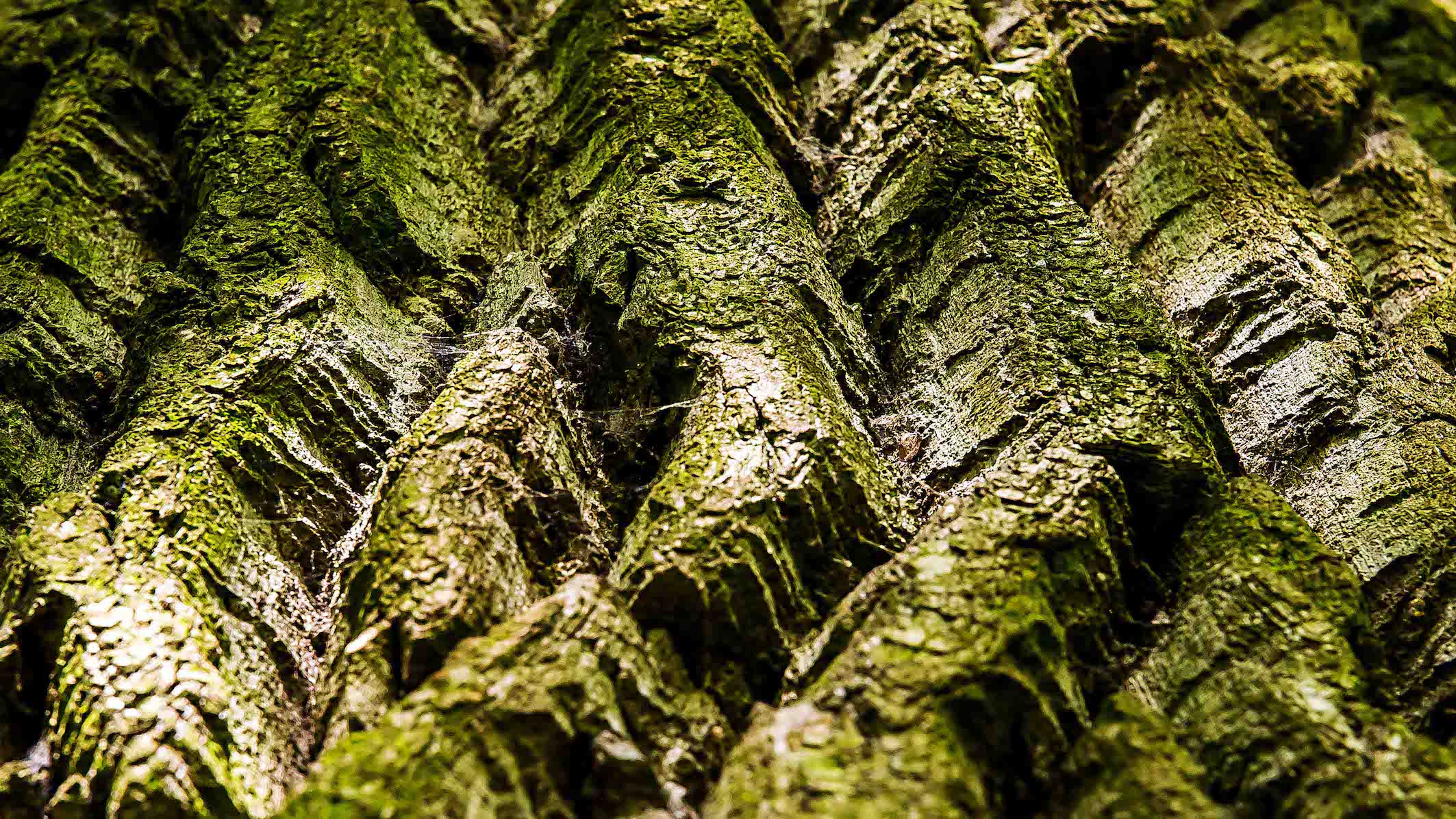 Realfort Expositie Wilhelminapark Utrecht4