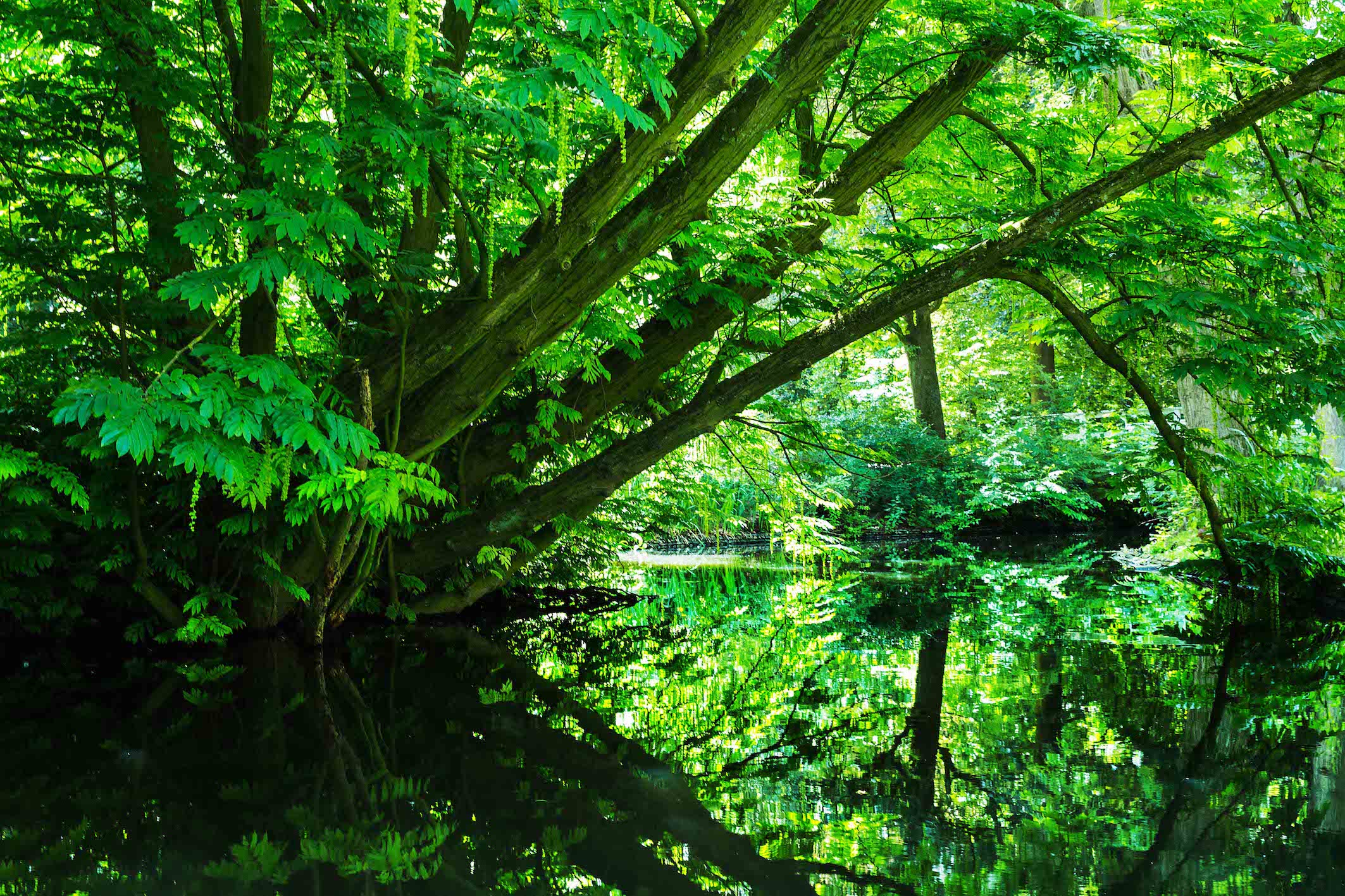 Realfort Expositie Wilhelminapark Utrecht8