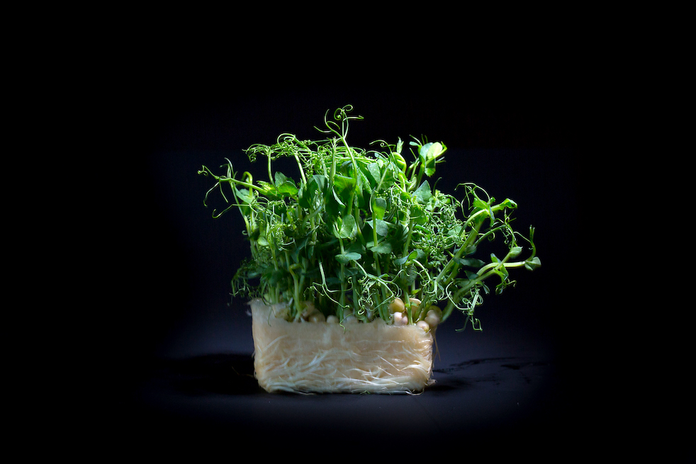 Food fotografie Lifeview BijTeus 3