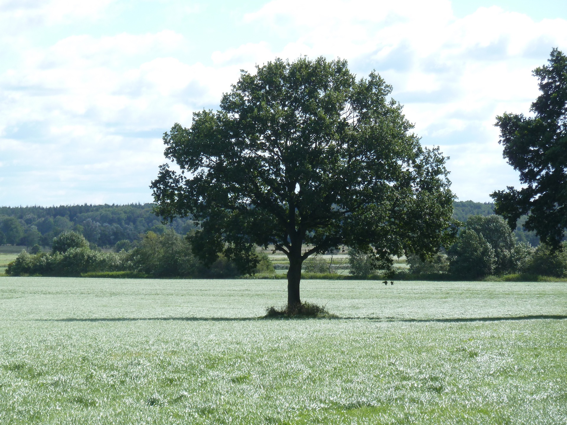 Het landschap in goede handen